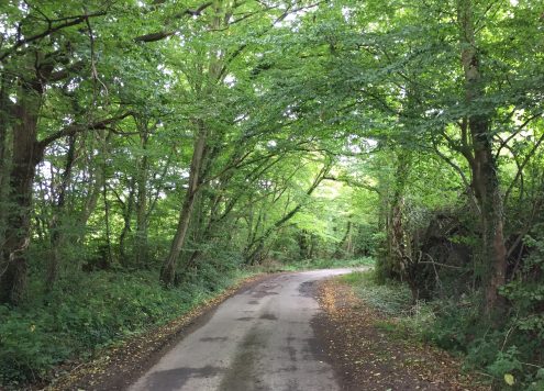 Country lane - the rural poor
