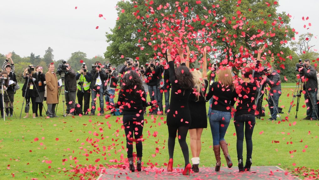 Poppy appeal activism