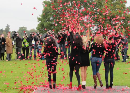 Poppy appeal activism