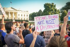 combat transphobia