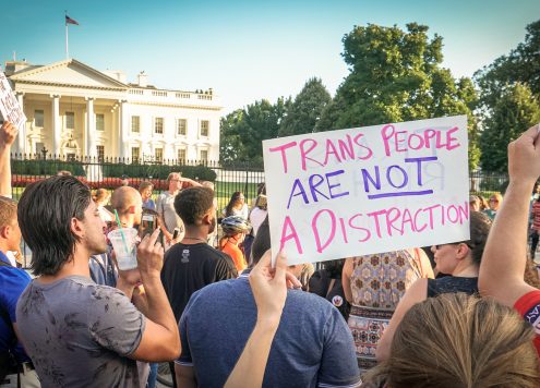 combat transphobia
