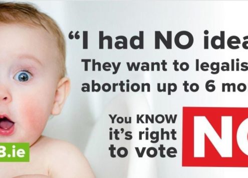 Satirical poster mocking the Love Both campaign