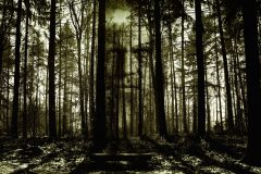 Spooky forrest with a zombie face in the background