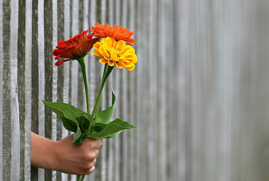 Hand poking through metal bars, holding a bouquet of orange and red flowers - Love-bombing