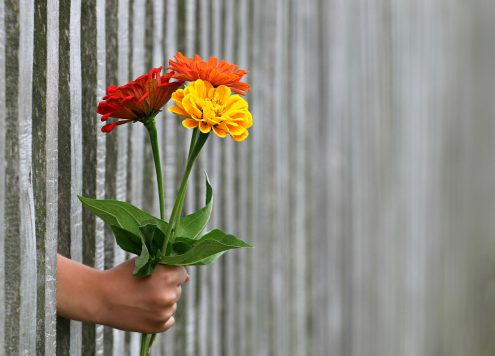 Hand poking through metal bars, holding a bouquet of orange and red flowers - Love-bombing