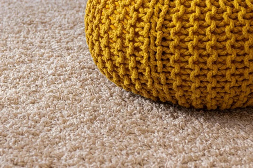 best cordless vacuum for pet hair on carpet usa - None