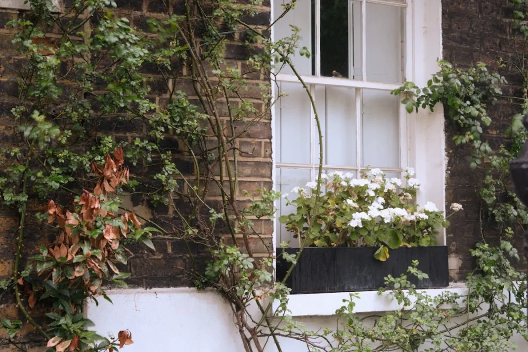 best places to see bluebells near london - None