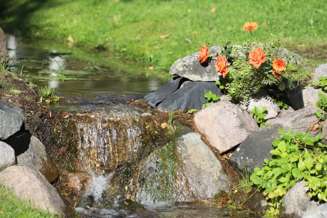 DIY garden watering for vacation - Germany - Roses near a creek