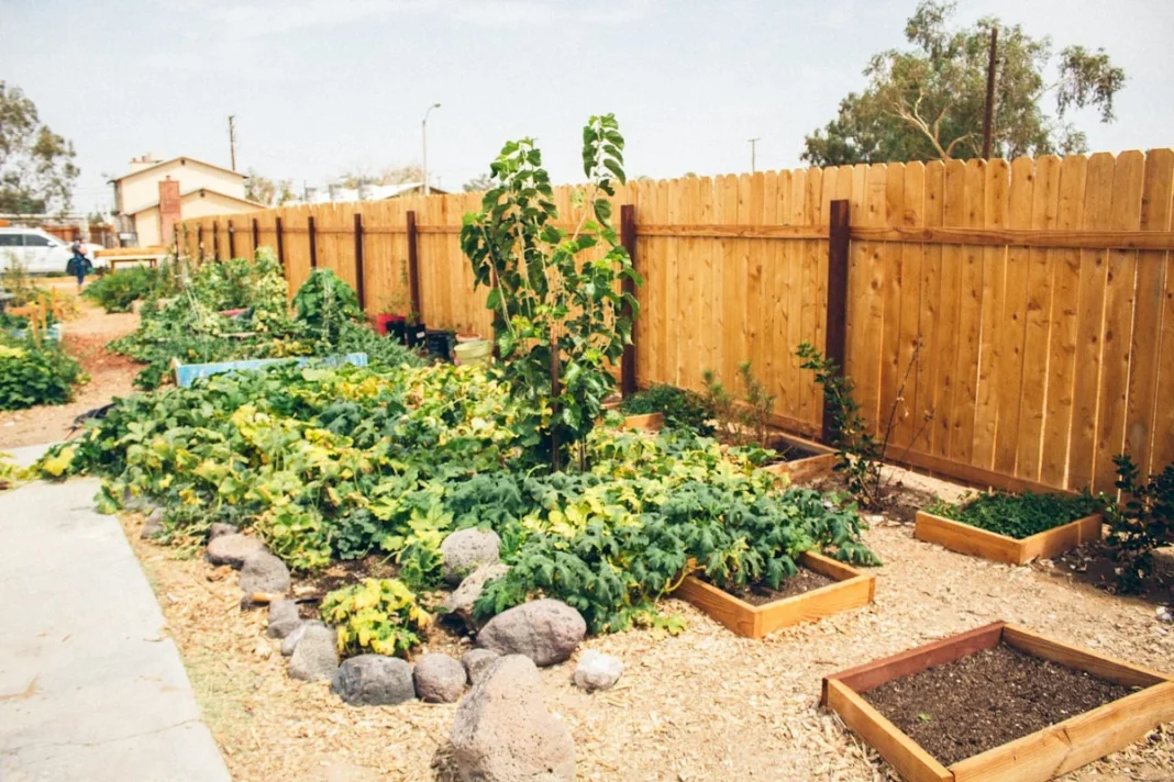 easy diy garden raised bed plans usa - None