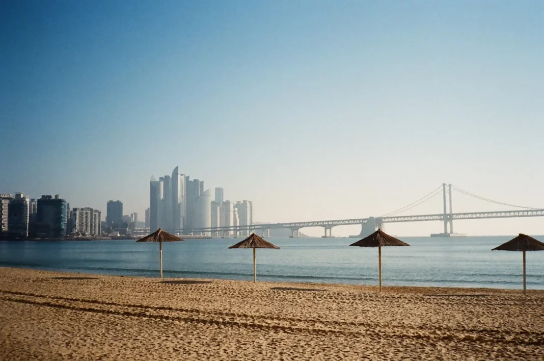 weekend brunch deals abu dhabi - Busan, Dec, 2019